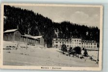 Montana Clairmont