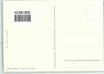 Orselina Fliegeraufnahme