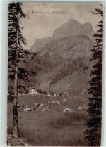 8751 Urnerboden - Spittelrüti