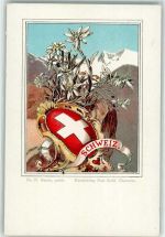 Schweizerkreuz Edelweisse