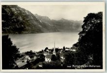 Mühlehorn