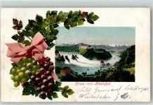 8212 Neuhausen am Rheinfall 1904 - Traubenranke