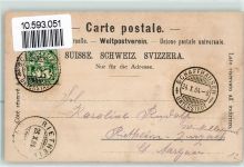 8212 Neuhausen am Rheinfall 1904 - Traubenranke