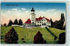 9435 Heerbrugg 1916 - Schloss