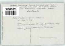 Brugg AG Paula Reimann als Beatrice im Amphithater als die Braut von Messina
