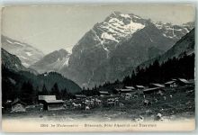 Amsteg im Maderanertal Stössenalp Hotel Alpenklub und Düssistock Kühe