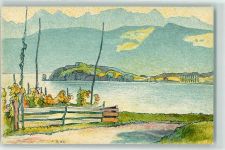 Au ZH Zürischsee die Au sign. E. Stiefel