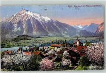 Sigriswil 1914 Niesen Bäume im Blust