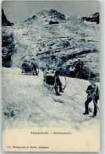 Eigergletscher 1906 Schlittelpartie auf dem Gletscher