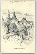 Erlach Chateau Ille de St Pierre