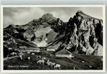 Zweisimmen Frohmatt Kuhherde