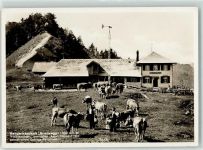 Chrüzegg - Berggasthaus Kreuzegg Sennen mit ihren Kühen