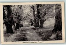 Vaumarcus Allee des Chataignieres