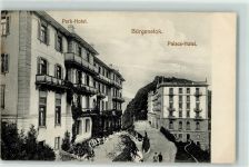 Bürgenstock 1911 Palace Hotel Park Hotel