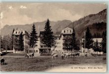 1875 Morgins Gebrauchsspuren Hotel des Bains Kuhherde