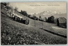 Blonay Bergbahn des Pléiades Narzisse