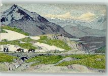 St Gotthard 1917 Pass Pferde sign. Moos