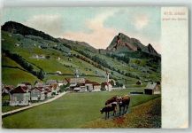 9656 Alt St. Johann Gebrauchsspuren Blick gegen den Säntis Kühe