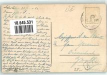 Wilderswil 1922 Hotel Schönbühl Eiger Mönch Jungfrau