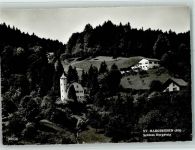 9430 St. Margrethen SG 1962 - Schloss Bergsteig, gute Erhaltung AK