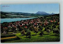 Beinwil am See 1933 Vue generale, gute Erhaltung AK
