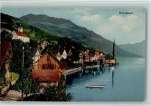 Walchwil 1912 Teilansicht, gute Erhaltung AK