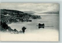 Richterswil Verlag Gebr. Wehrli 14360 - Vue generale, sehr gute Erhaltung AK