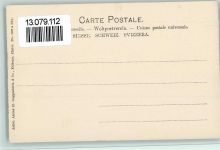 1348 Le Brassus - Teilansicht, Verlag Guggenheim Nr. 1307 sehr gute Erhaltung AK