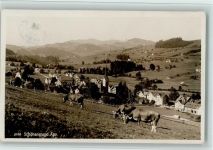 9105 Schönengrund Foto AK Vue generale, Stempel schimmer durch - Verlag Hans Gross Nr. 3058, AK