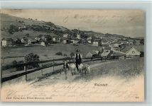 Waldstatt 1904 Nr. 12537 Verlag Wehrli - gute Erhaltung AK