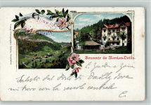 1892 Morcles 1903 - Hotel, Teilansicht