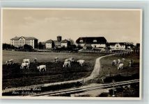 3052 Rütti Zollikofen Foto AK Landwirtschaft Schule - Erhaltung I