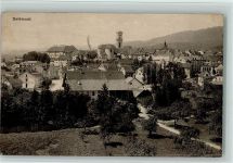 2800 Delémont Delsberg 1919 - Teilansicht - Feldpoststempel: Depot Mobile de Chevaux de la IIe Division