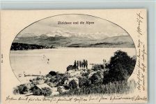 8802 Bendlikon 1902 - Panoramaansicht Zürichsee u. Alpen