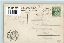 Seengen 1906 Eichenberg Panoramaansicht See Hirschpark Hirsch