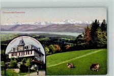 Pfannenstiel Kurhaus Hochwacht Rinderweide Zürichsee Alpen