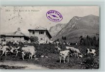 1663 Moléson-sur-Gruyères 1919 - Gros Plane et le Moleson - Alpwirtschaft, Kühe auf der Alp