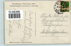 Winterthur 1924 Ausstellung 1924 Landwirtschaft, Gartenbau u. Gewerbe AK