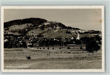 Regensberg Dielsdorf und Regensberg