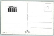 8953 Dietikon - Schwäne