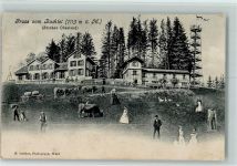 Bachtel 1906 Kühe Gänse Hund Aussichtsturm