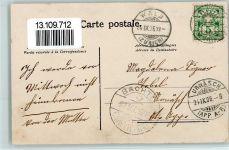 Bachtel 1906 Kühe Gänse Hund Aussichtsturm