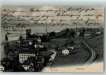 Erlenbach ZH 1905 Weinberge