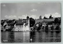 Eglisau Kirche Schwan
