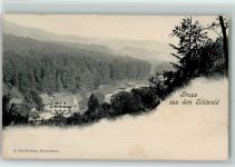 Sihlwald 1903 Ortsansicht
