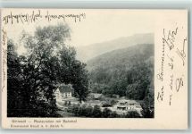 Sihlwald 1905 Restauration mit Bahnhof