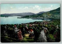 8805 Richterswil - Blick nach Richterswil Baumblüte