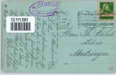 St Chrischona - Waldrain Kühe