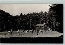Greifensee Ferienhaus des CVJM Zürich Glockenhof