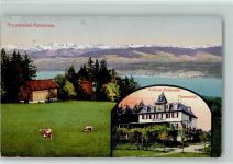 Pfannenstiel Kurhaus Hochwacht Kühe
